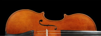 VIOLA'S 2009